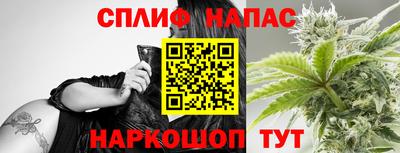 дмт Нальчик